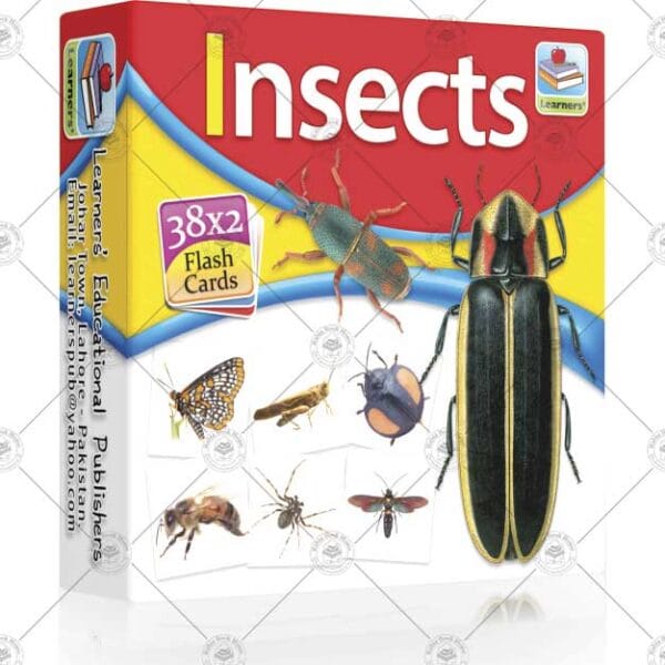 Flash Card Insects - Image 2