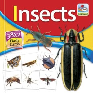 Flash Card Insects