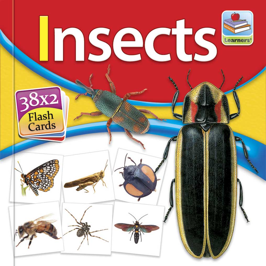 Flash Card Insects
