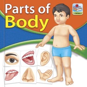 Flash Cards Parts of Body