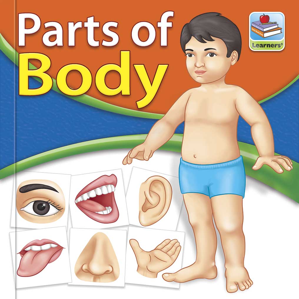 Flash Cards Parts of Body