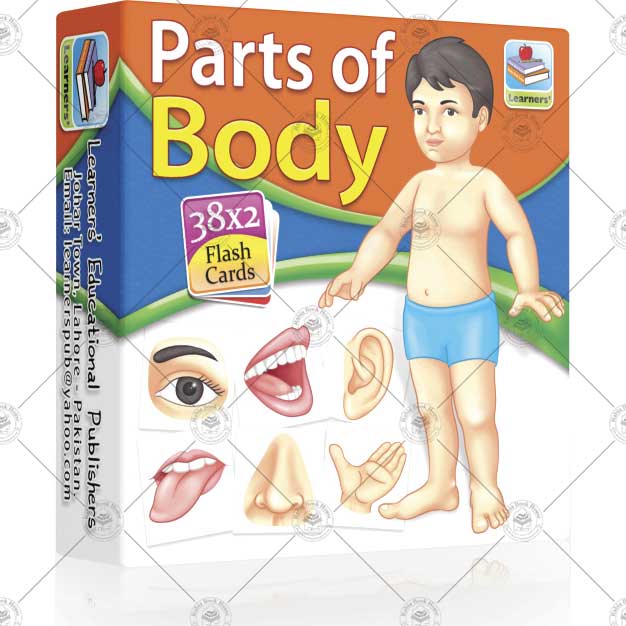 Flash Cards Parts of Body - Image 2