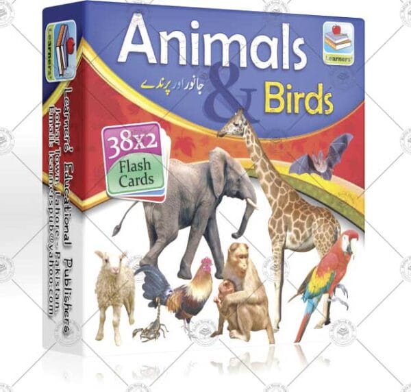 Flash Card Birds & Animals - Image 2