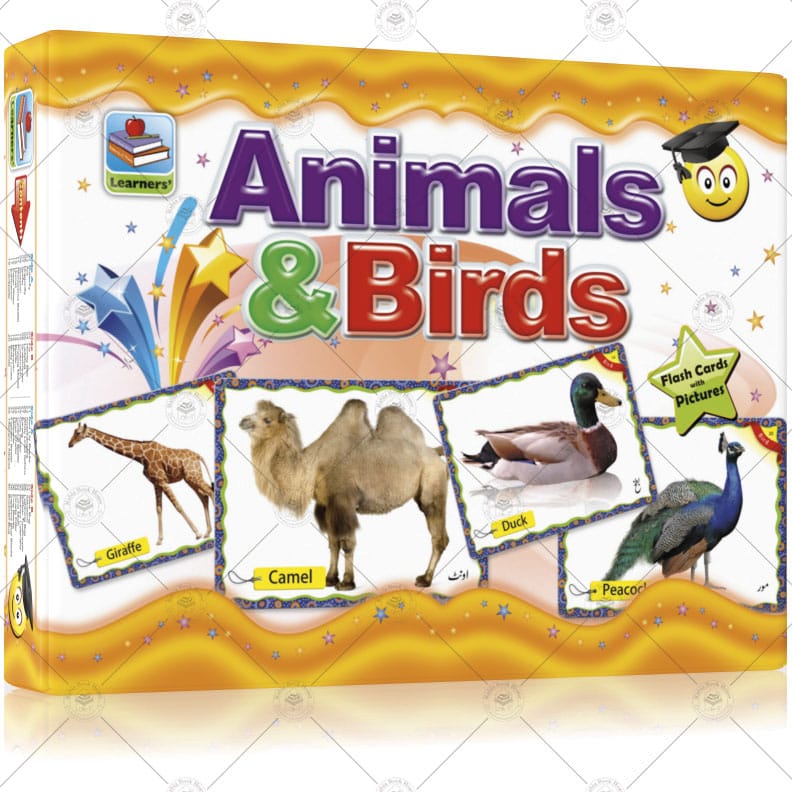 Flash Cards Birds & Animals - Image 2