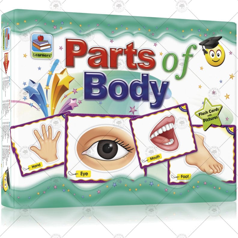 Flash Cards Parts of Body - Image 2