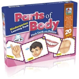 Flash Cards Parts of Body