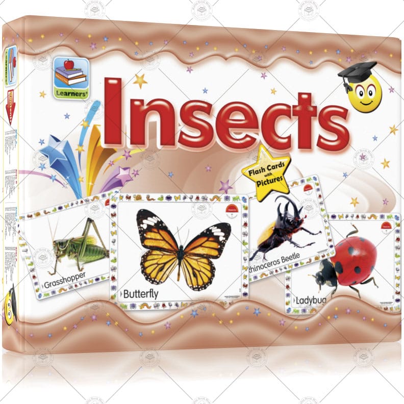 Flash Cards Insects - Image 2