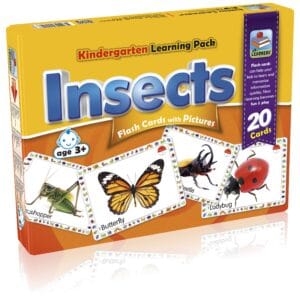 Flash Cards Insects