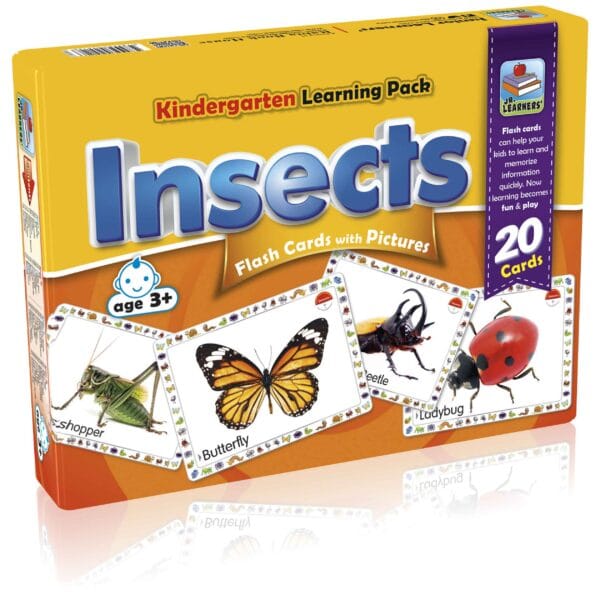 Flash Cards Insects