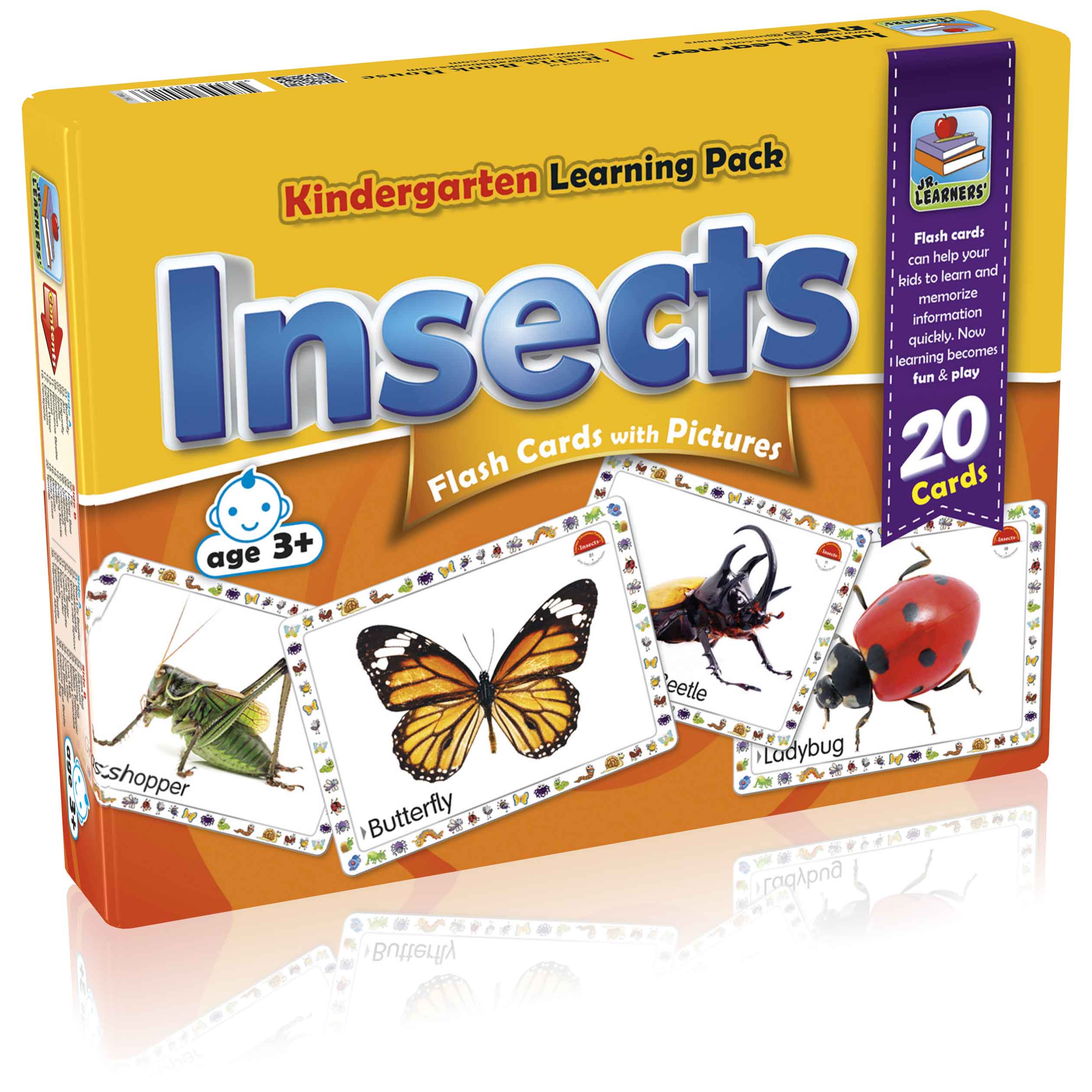 Flash Cards Insects