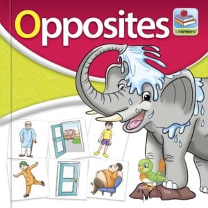 Flash Card Opposites