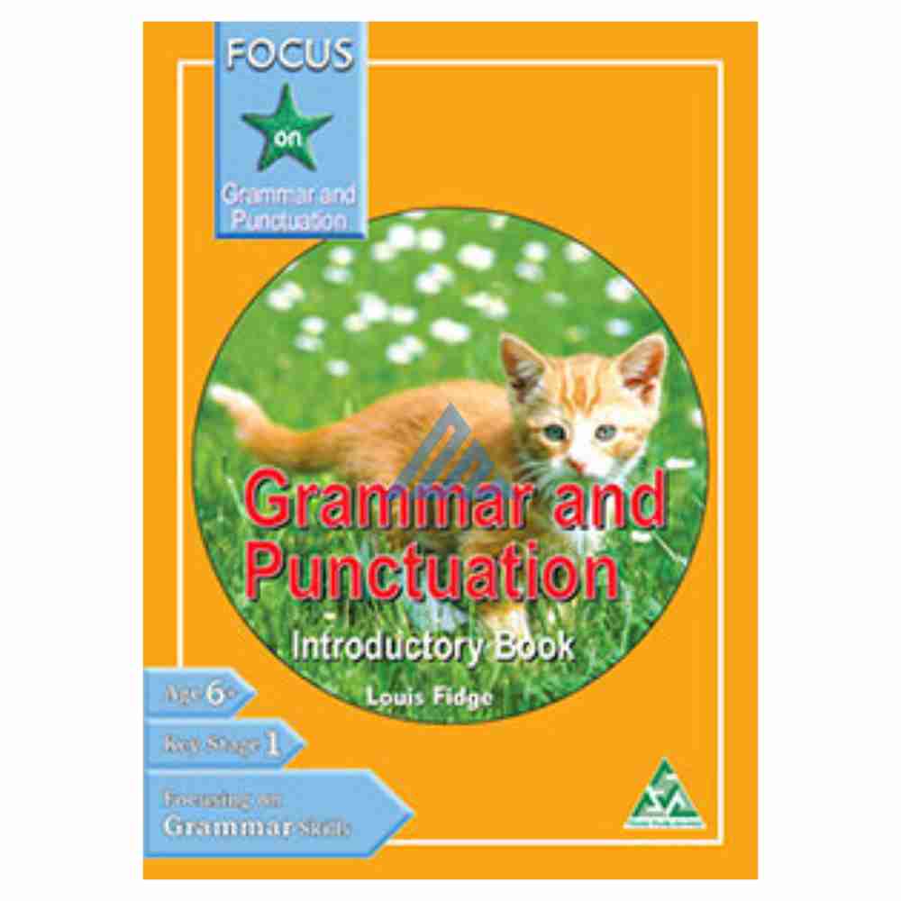 Focus On Grammar And Punctuation Book Introductory
