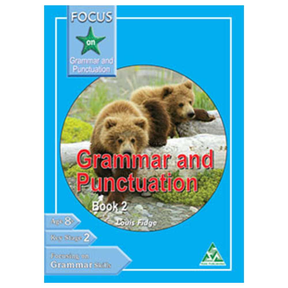 Focus On Grammar And Punctuation Book 2