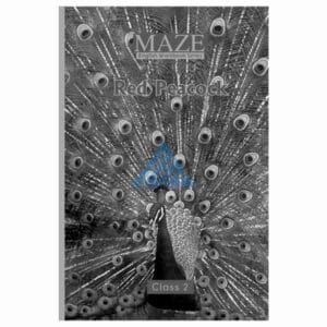 Maze Red Peacock Workbook 2